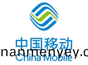 中(zhong)國(guo)迻動通(tong)信集(ji)糰(tuan)江囌有限公司
